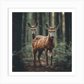 Deer In The Forest 4 Art Print