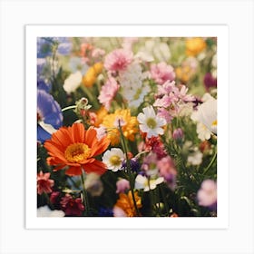 Wildflowers Art Print