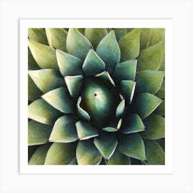 Cactus 1 Square Art Print
