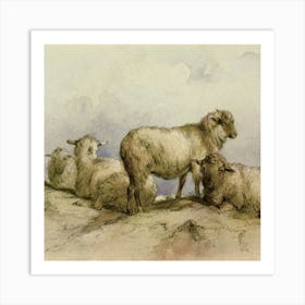 Sheeps 1 Art Print