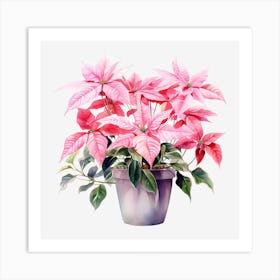 Poinsettia 13 Art Print