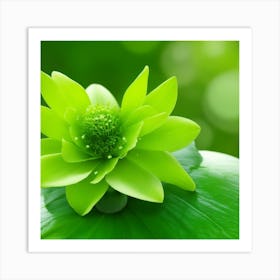 Dreamshaper V7 Green Flower In Bloom Season 0 Art Print