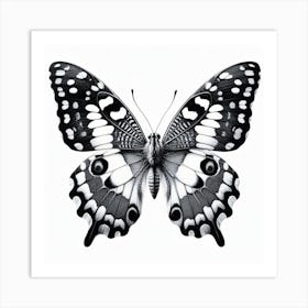 Butterfly Pencil Drawing III Art Print