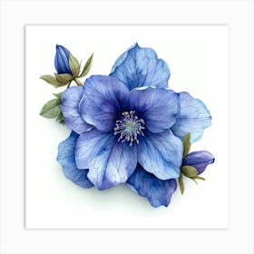 Blue Clematis Flower 1 Poster