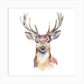 Watercolor deer Art Print