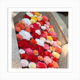 Flowers In A Fountain Art Print