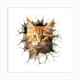 Koon Cat Art Print