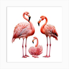 Flamingos Art Print