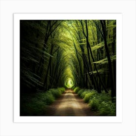 Path Through The Forest Art Print