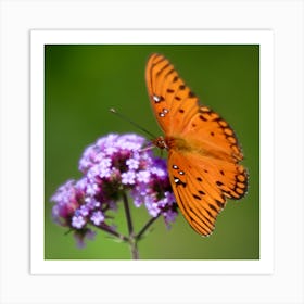 Butterfly - Orange Gulf Fratillary Art Print