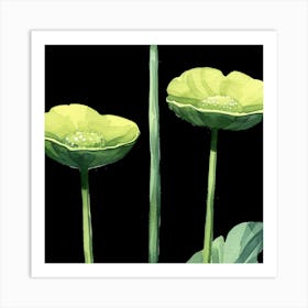 Green Poppy Art Print