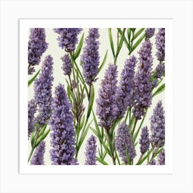 Lavender Art Print