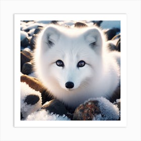 Arctic Fox 1 Art Print