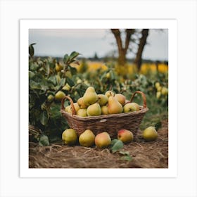 Pears In A Basket 1 Art Print