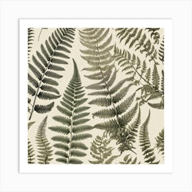 Ferns 9 Art Print