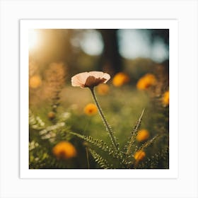 Flower In The Meadow Art Print