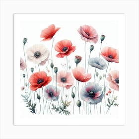 Oriental poppy 3 Art Print