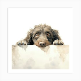 Spanish Water Dog 1 Art Print