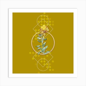 Vintage Yellow Wallflower Bloom Botanical with Geometric Line Motif and Dot Pattern n.0234 Art Print