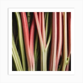 Rhubarb 117 Art Print