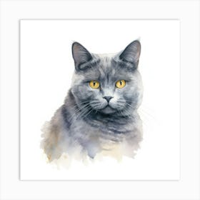 Chartreux Cat Portrait 3 Art Print