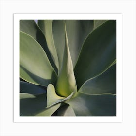 Heart of the Agave plant Art Print