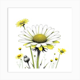 Daisy 6 Art Print