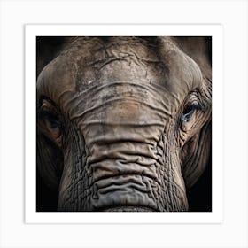 Elephant Stare Art Print