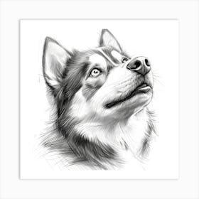 Siberian Husky 2 Art Print