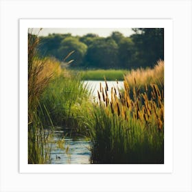 Reeds In The Water Art Print