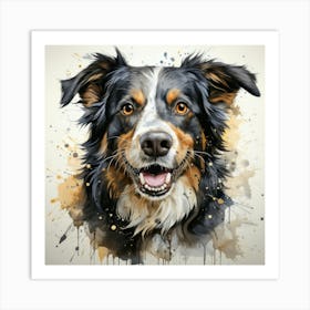 Australian Shepherd 11 Art Print