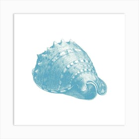 Blue Sea Shell Art Print