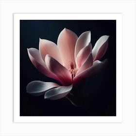 Magnolia Flower 3 Art Print