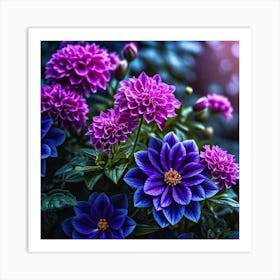 Purple Dahlias 1 Art Print