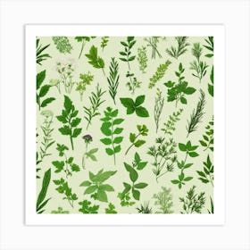 Seamless Pattern Of Herbs 1 Art Print