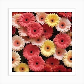 Gerberas Art Print