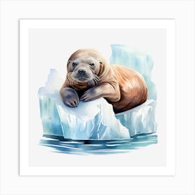 Seal On Ice Art Print