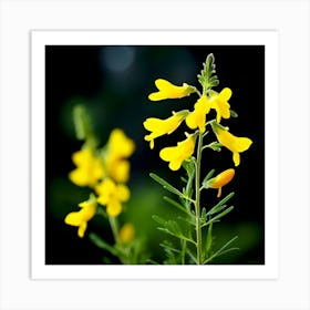 Yellow Flowers Art Print