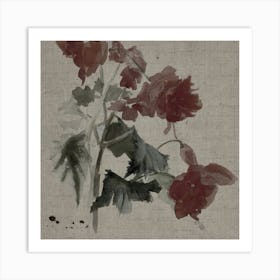 Geraniums Art Print