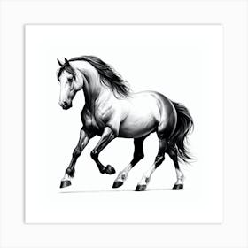 Horse Galloping 7 Art Print