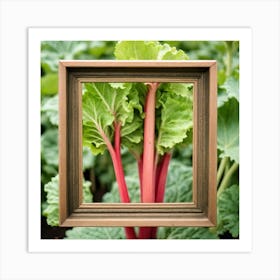 Rhubarb In A Frame 5 Art Print