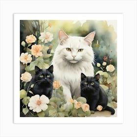 Black And White Cats Art Print