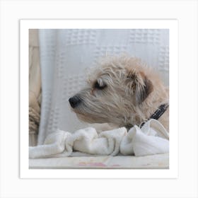 Terrier Dog Art Print