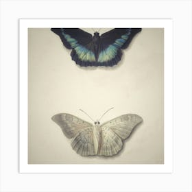 Two Butterflies Art Print