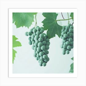 Grapes On A Vine Art Print