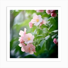 Flowers Leaves Nature Soft Freshness Pastel Botanical Plants Blooms Foliage Serene Delic (3) Art Print