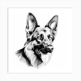 Black and White German Shepherd drawing 1 Art Print