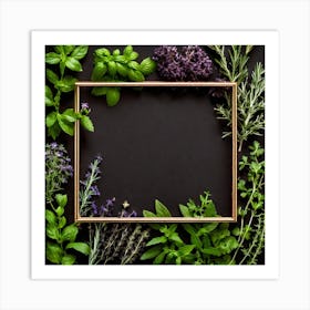 Frame With Herbs On Black Background 3 Art Print