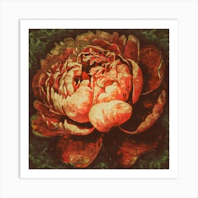 Peony 1 Affiche