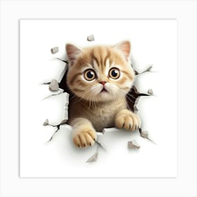 Cat Peeking Out Of A Hole 5 Art Print